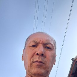 , 55, 