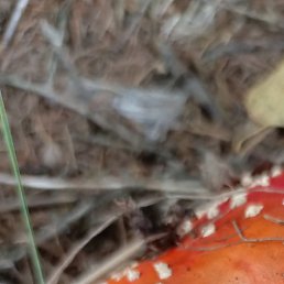 �����, ���, 59 ���