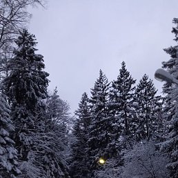 �������, ���������, 51 ���