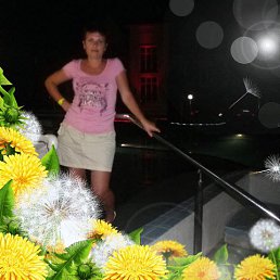 , 44, 