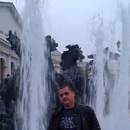 ������, 40 ���, �����