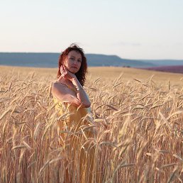 �����, �����������, 52 ����