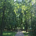 ���� �������, ������, 74 ���� - ��������� 9 ��� 2025