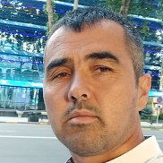 �����, 41 ���, �����