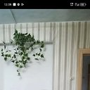 ���� �����, ������, 64 ���� - ��������� 9 ������ 2026 � ������ ���� ����������