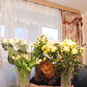 ���� ������, �����-��������� - ��������� 29 ��� 2026 � ������ ���� ����������