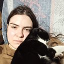 ���� �����, ������-���, 33 ���� - ��������� 2 ����� 2026 � ������ ���� ����������