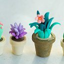 ���� �������, �����������, 18 ��� - ��������� 30 ��� 2025 � ������ ���� ����������