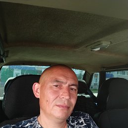 ������, 43 ����, �����������