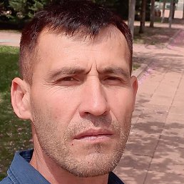 ����, ������, 41 ���