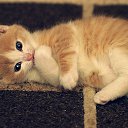 ���� �������, ������ - ��������� 19 ������� 2024 � ������ ������ ��������