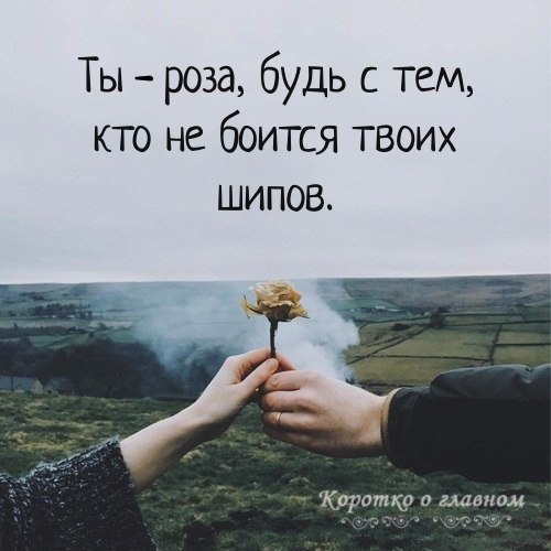   ... - 2  2025  12:06