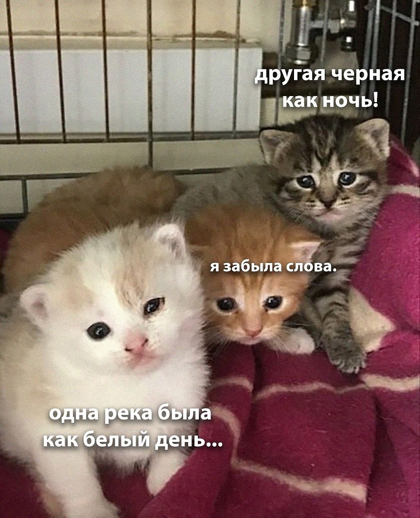    - 22  2024  20:21