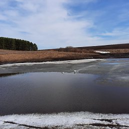 �������, ������������, 43 ����