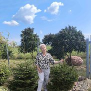 Галина, 66 лет, Брест Галина, 66 лет, Брест