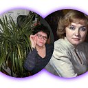 ���� �������, ������, 63 ���� - ��������� 7 ������ 2024 � ������ ���� ����������