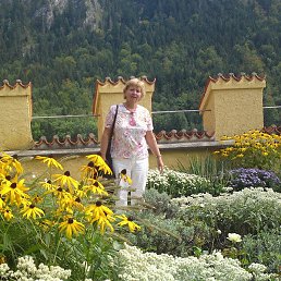 ����, �����-���������