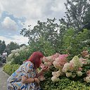 ���� ������, ���������, 50 ��� - ��������� 22 ������� 2024 � ������ ���� ����������