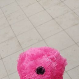 ������, �����, 27 ���