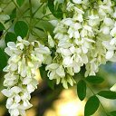 ���� �����, ������� - ��������� 10 ��� 2025