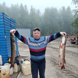 ������, 51 ���, ����