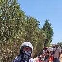 ���� ������, ���������, 66 ��� - ��������� 22 ���� 2025 � ������ ���� ����������