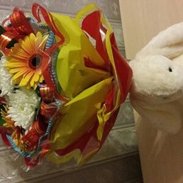 ����, �����, 40 ���