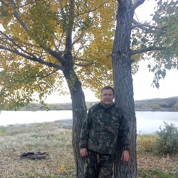 ��������, 58 ���, ������