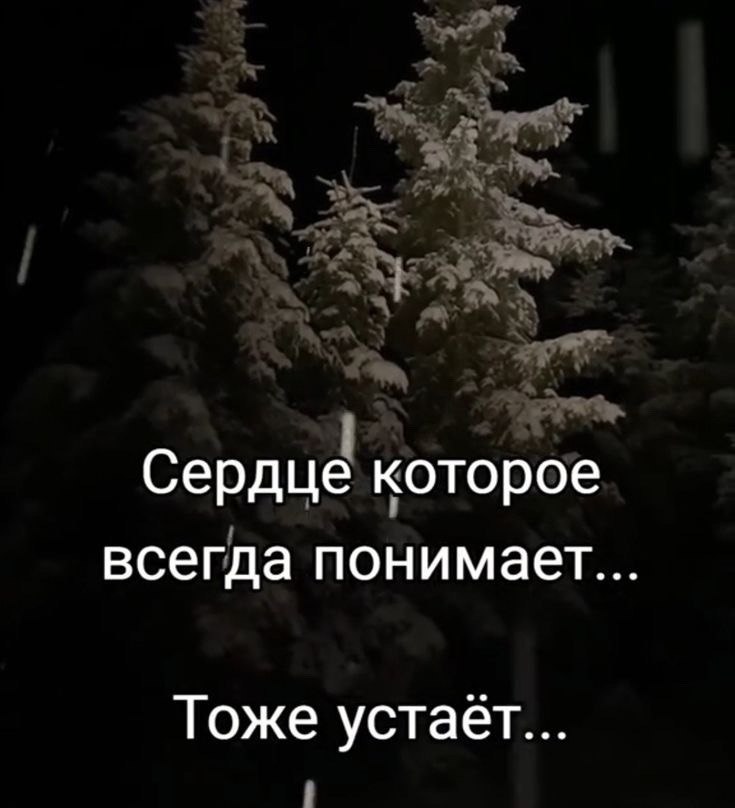   - 2  2025  23:13