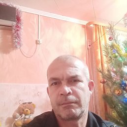 ������, ���������, 46 ���