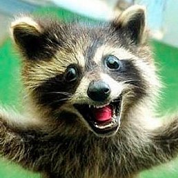 �������, ������, 44 ����