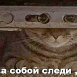 Retro, �����������, 42 ����