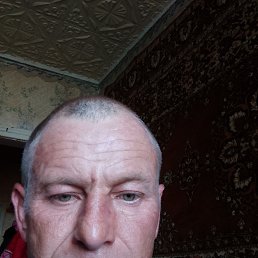 , 41 , 