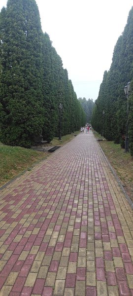 ���� � ������������ �����: ����� � ������. ������� � ������ ��� ������ � ��������� �����������. ... - 2