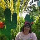 ���� �����, �������, 51 ��� - ��������� 8 ���� 2026 � ������ ���� ����������