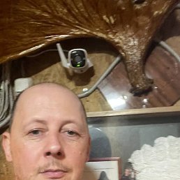 , 45, 