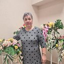 ���� �������, ������, 66 ��� - ��������� 11 ������ 2026 � ������ ���� ����������