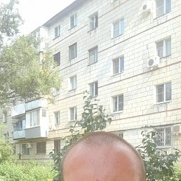 , 41 , 