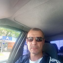 ����������, 44 ����, �������