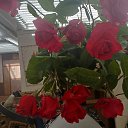 ���� �������, ����� - ��������� 22 ���� 2025 � ������ ���� ����������