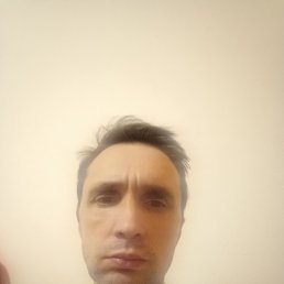 , 51 , 