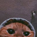 ���� ����, ������������, 41 ��� - ��������� 22 ����� 2024 � ������ ���� ����������