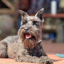  Marina78rus, - -  7  2025