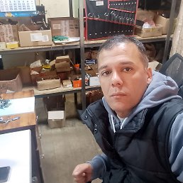 , 37, 