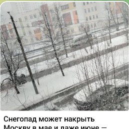  , , 46  -  8  2025