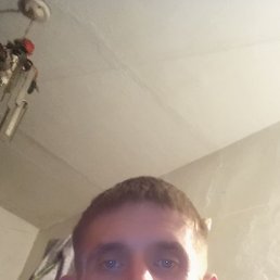 �������, 41 ���, �����������