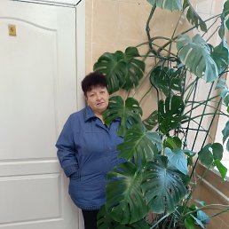 , 65, 
