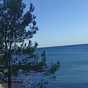 ���� ��������, ������� - ��������� 16 �������� 2025 � ������ ���� ����������