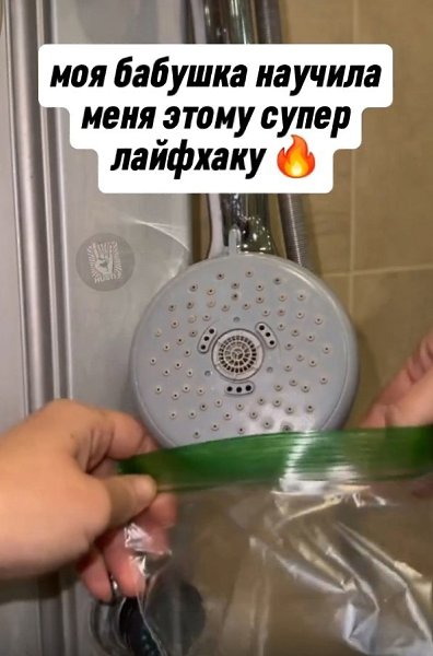����� �������� ���� ������� �������