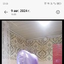 ���� �����, ������, 57 ��� - ��������� 24 ������ 2024 � ������ ���� ����������